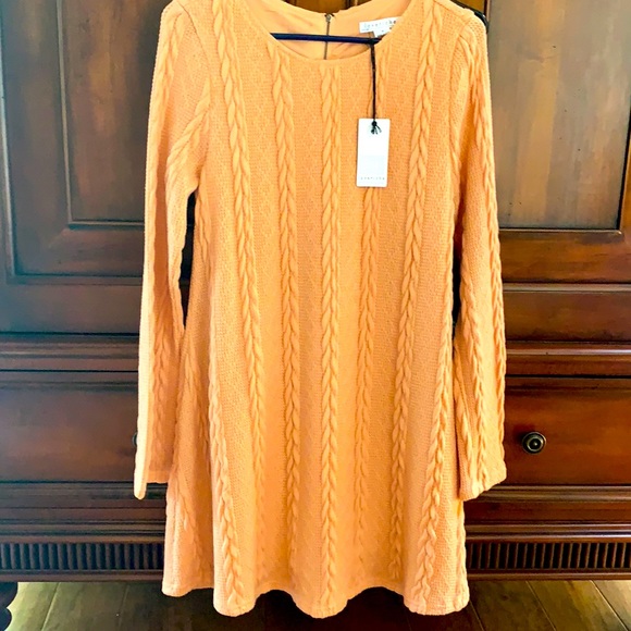 Loveriche NWT TOO CUTE SWEATER DRESS - Picture 1 of 1